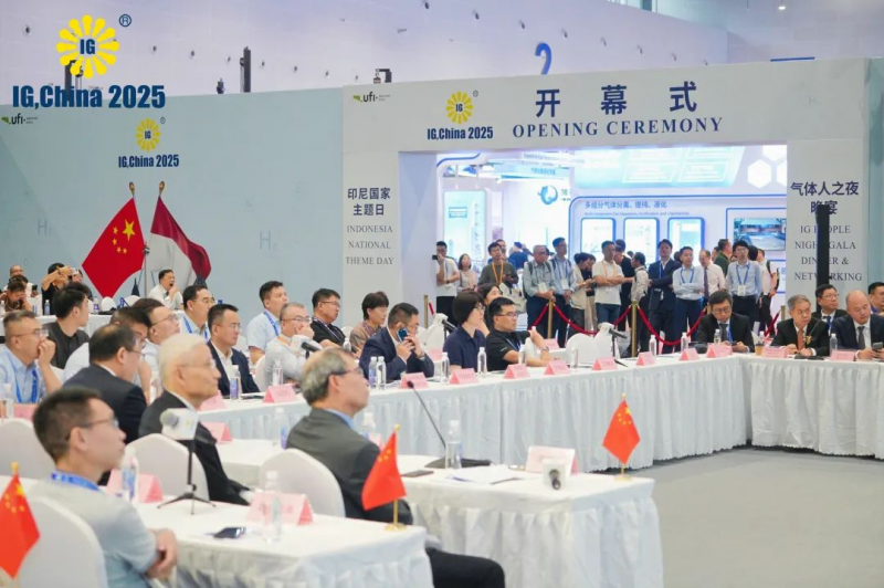 图片9