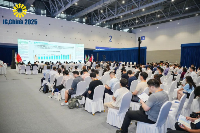 图片12